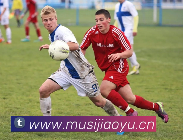 ayx官网ios发展历程